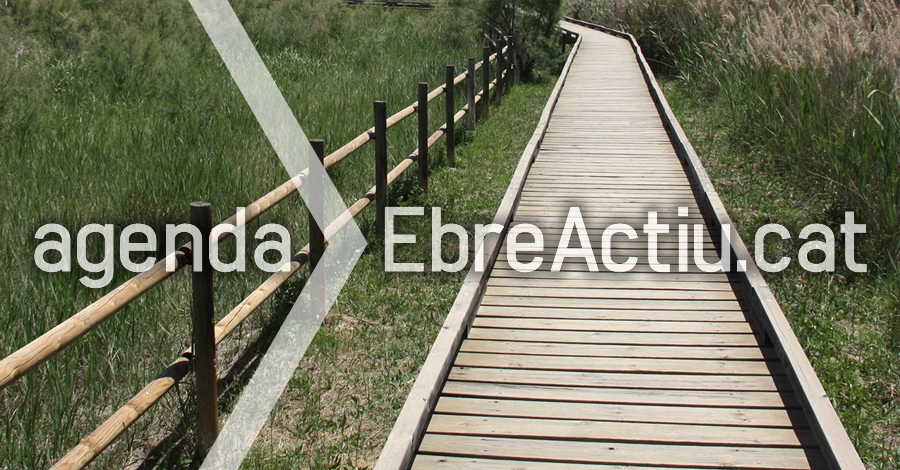 Portes obertes a l’Ecomuseu i la Casa de Fusta Portes obertes a l’Ecomuseu i la Casa de Fusta