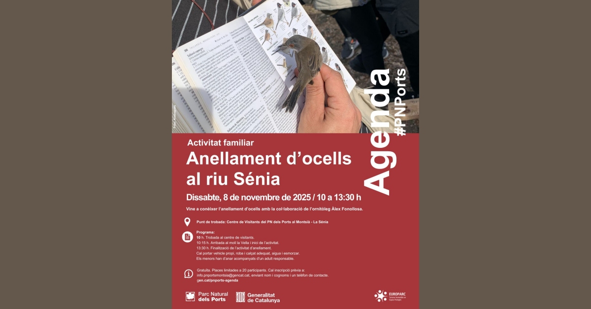 Anellament d’ocells al riu Sénia Anellament d’ocells al riu Sénia