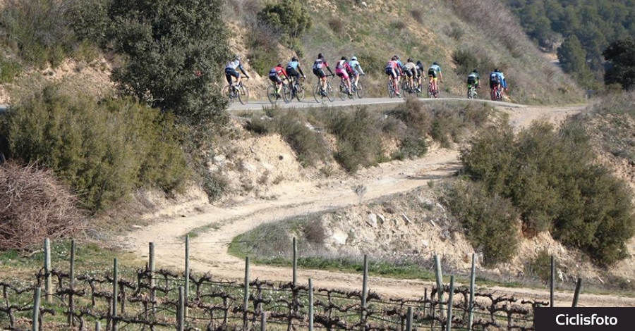 Albert Massana guanya la 1a Cursa Social Terra de Garnatxes | EbreActiu.cat, revista digital d’oci actiu | Terres de l’Ebre ... Albert Massana guanya la 1a Cursa Social Terra de Garnatxes | EbreActiu.cat, revista digital d’oci actiu | Terres de l’Ebre ...