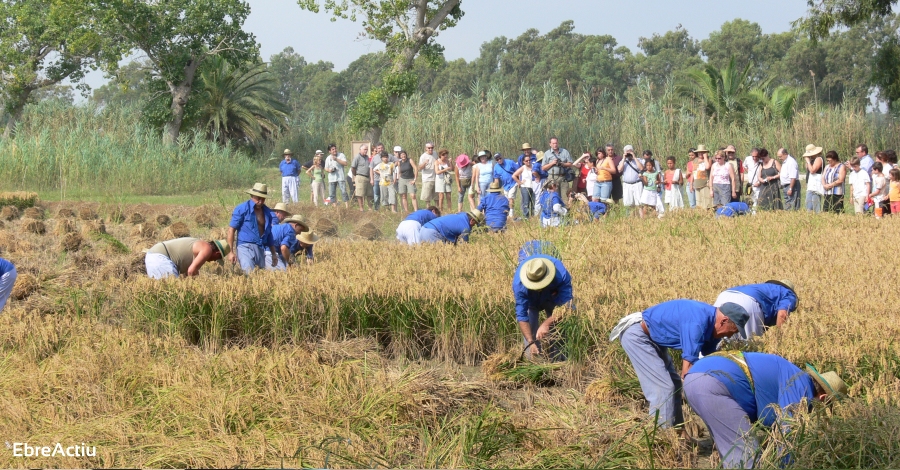 Deltebre serà la capital catalana de l’Ecoturisme durant els dies 23 i 24 d’octubre | EbreActiu.cat, revista digital d’oci actiu | Terres de l’Ebre ... Deltebre serà la capital catalana de l’Ecoturisme durant els dies 23 i 24 d’octubre | EbreActiu.cat, revista digital d’oci actiu | Terres de l’Ebre ...