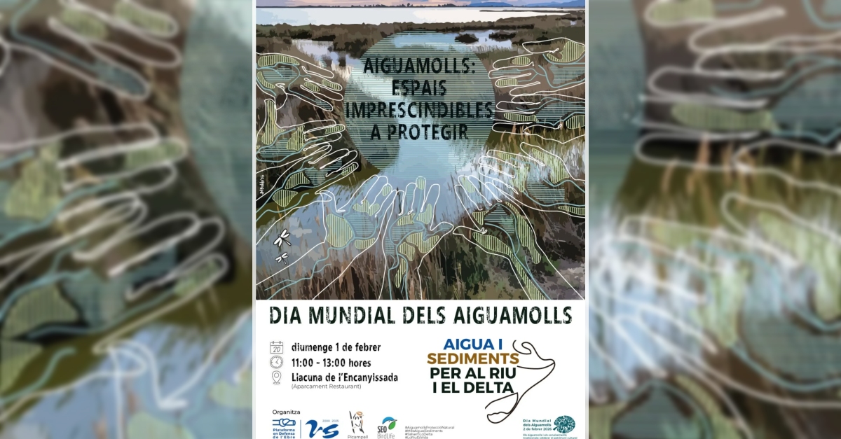 Aiguamolls: espais imprescindibles a protegir. Dia mundial dels aiguamolls Aiguamolls: espais imprescindibles a protegir. Dia mundial dels aiguamolls