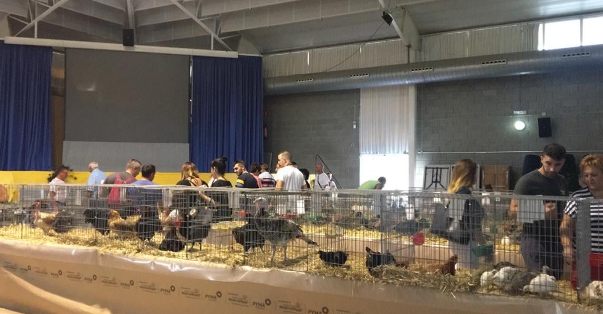 Masdenverge suspèn la Fira del Caçador  | EbreActiu.cat, revista digital d’oci actiu | Terres de l’Ebre ... Masdenverge suspèn la Fira del Caçador  | EbreActiu.cat, revista digital d’oci actiu | Terres de l’Ebre ...