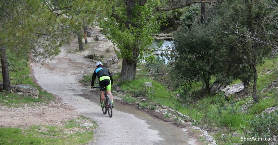 Neix el Rodacamins, la nova proposta per la bicicleta de muntanya | EbreActiu.cat, revista digital d’oci actiu | Terres de l’Ebre ... Neix el Rodacamins, la nova proposta per la bicicleta de muntanya | EbreActiu.cat, revista digital d’oci actiu | Terres de l’Ebre ...
