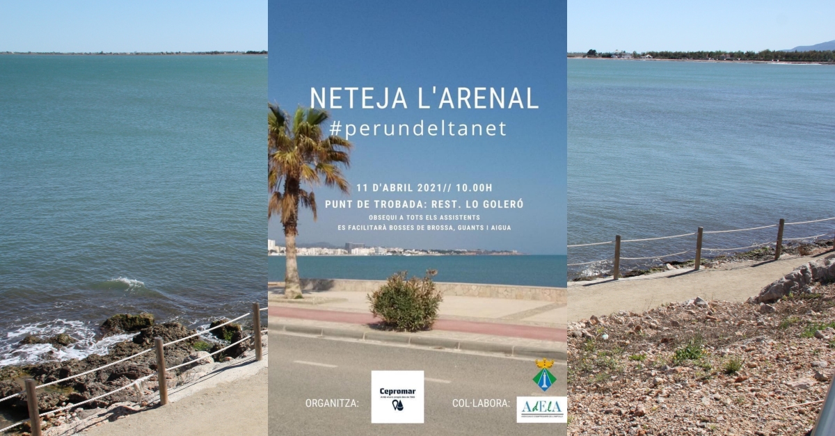 Acció de neteja de l’Arenal Acció de neteja de l’Arenal