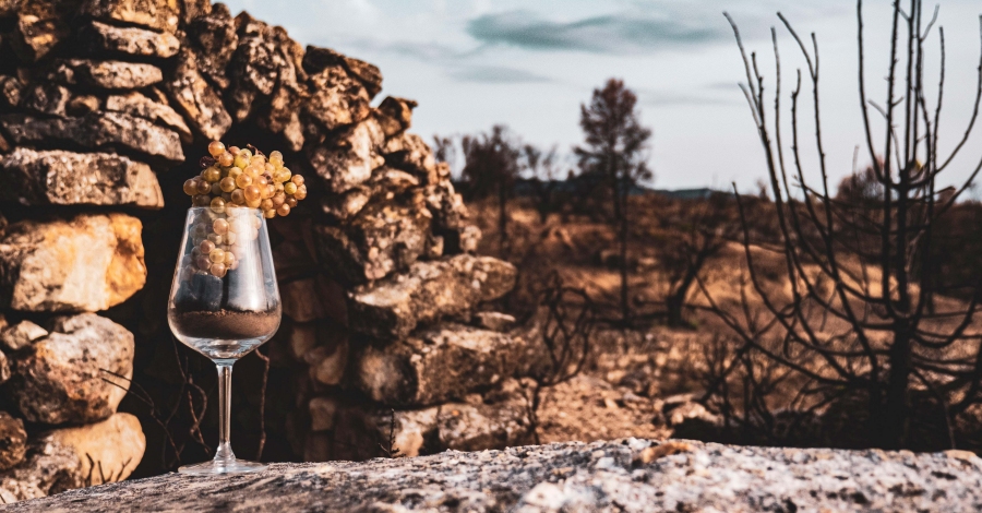 Vinebre es prepara per a la tercera edició de la Fira del Vimblanc | EbreActiu.cat, revista digital d’oci actiu | Terres de l’Ebre ... Vinebre es prepara per a la tercera edició de la Fira del Vimblanc | EbreActiu.cat, revista digital d’oci actiu | Terres de l’Ebre ...