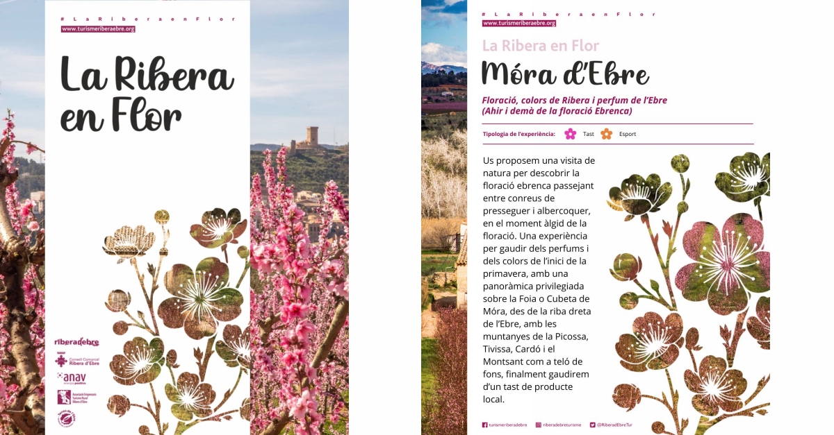 La Ribera en Flor 2026: Móra d’Ebre La Ribera en Flor 2026: Móra d’Ebre