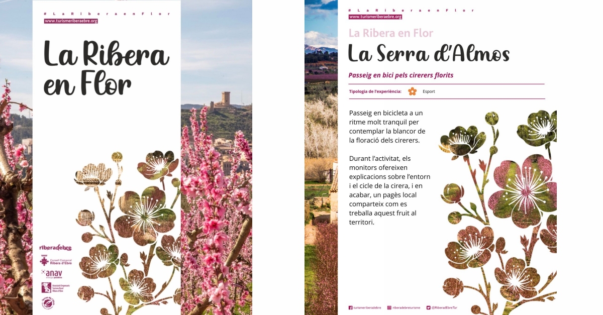 La Ribera en Flor 2026: La Serra d’Almos (passeig en bici pels cirerers florits) La Ribera en Flor 2026: La Serra d’Almos (passeig en bici pels cirerers florits)