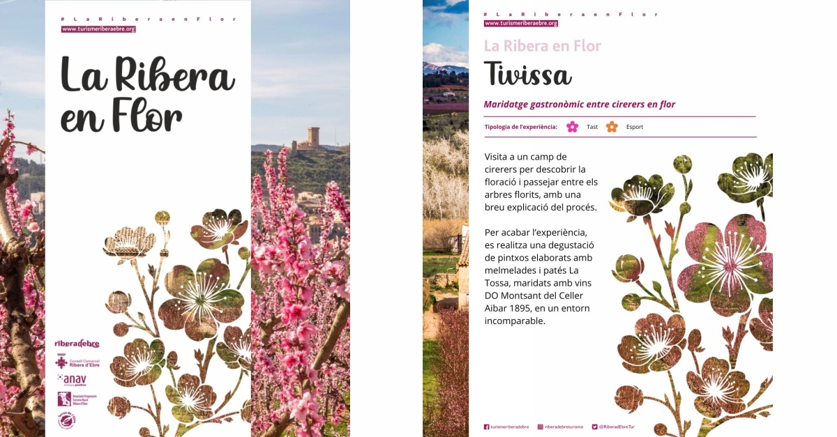 La Ribera en Flor 2026: Tivissa (maridatge gastronòmic entre cirerers en flor) La Ribera en Flor 2026: Tivissa (maridatge gastronòmic entre cirerers en flor)