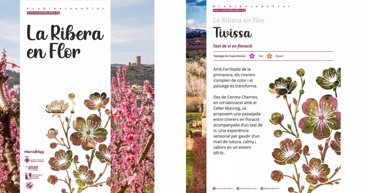 La Ribera en Flor 2026: Tivissa - Tast de vi en floració La Ribera en Flor 2026: Tivissa - Tast de vi en floració
