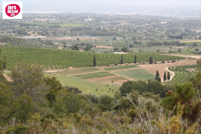 La Serreta de Freginals | EbreActiu.cat, revista digital d’oci actiu | Terres de l’Ebre ... La Serreta de Freginals | EbreActiu.cat, revista digital d’oci actiu | Terres de l’Ebre ...