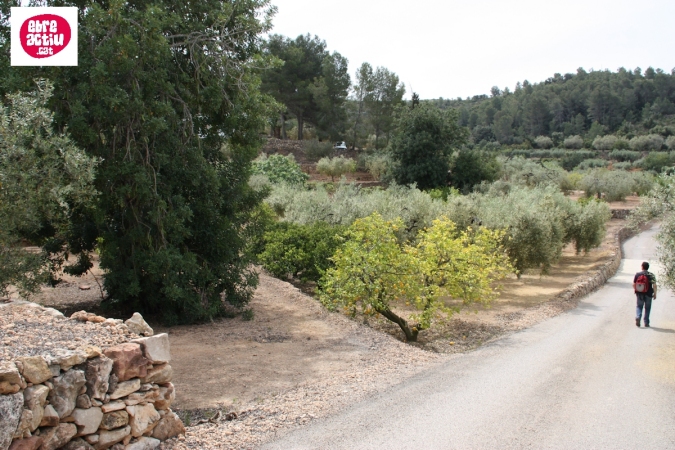 La Serreta de Freginals | EbreActiu.cat, revista digital d’oci actiu | Terres de l’Ebre ... La Serreta de Freginals | EbreActiu.cat, revista digital d’oci actiu | Terres de l’Ebre ...