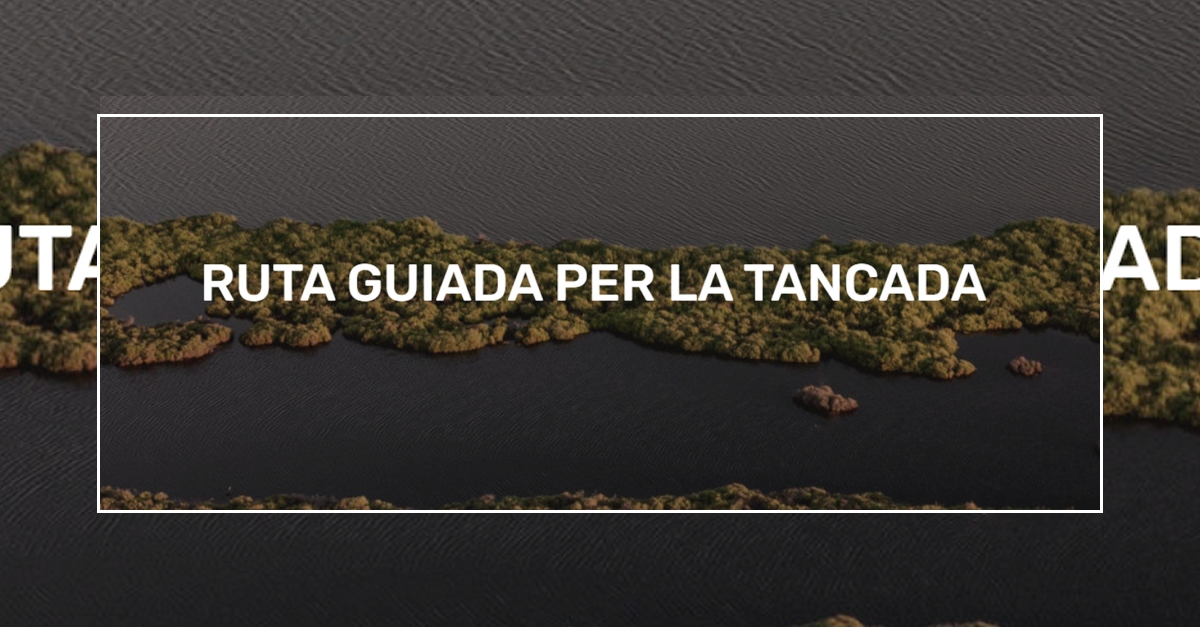 Ruta guiada per la llacuna de la Tancada Ruta guiada per la llacuna de la Tancada
