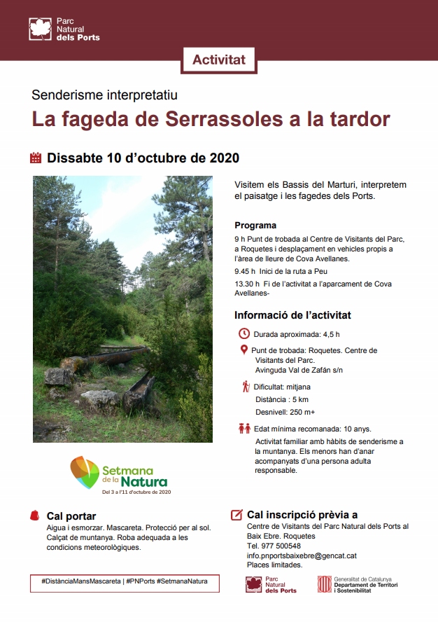 Senderisme interpretatiu: La fageda de Serrassoles a la tardor Senderisme interpretatiu: La fageda de Serrassoles a la tardor