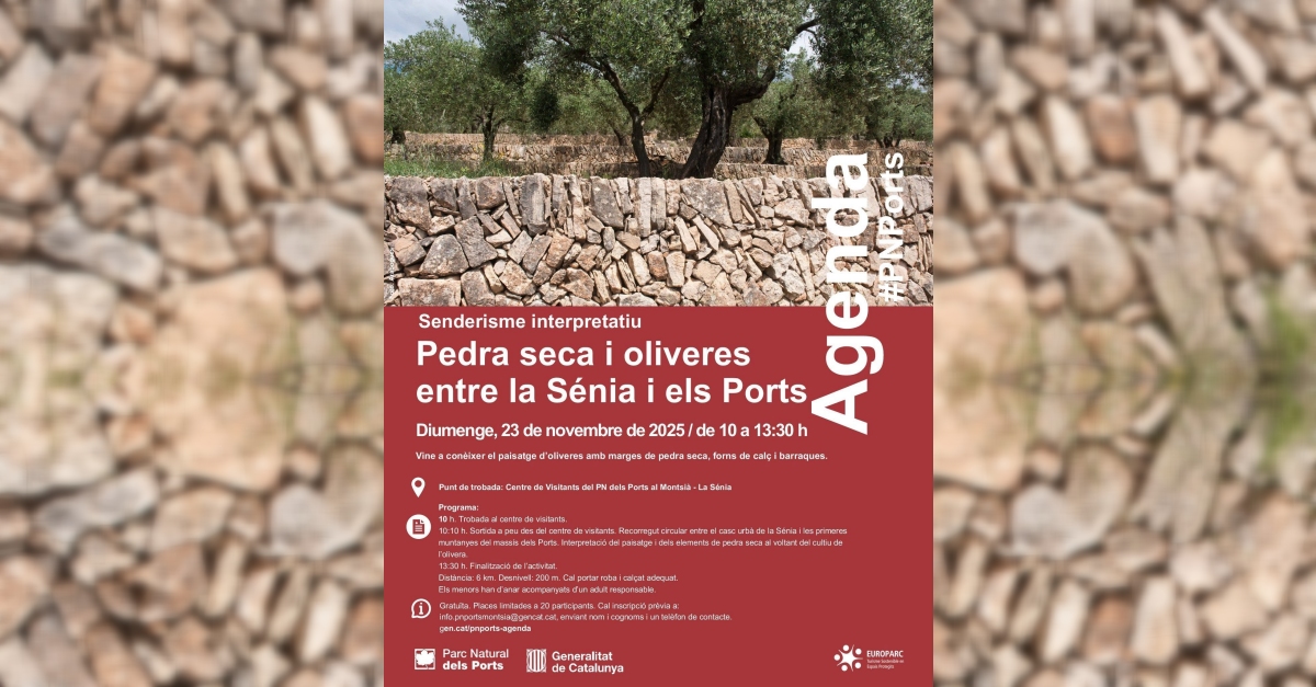 Senderisme interpretatiu: Pedra seca i oliveres entre la Sénia i els Ports Senderisme interpretatiu: Pedra seca i oliveres entre la Sénia i els Ports