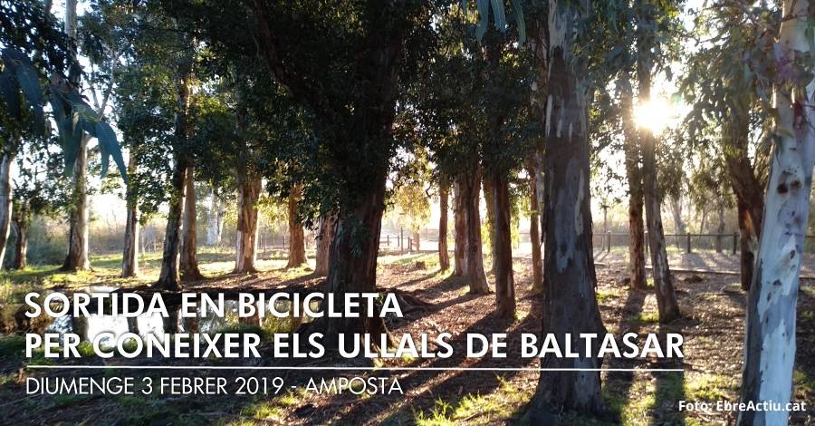 Sortida en bicicleta per conèixer els Ullals de Baltasar -CANCEL·LADA- Sortida en bicicleta per conèixer els Ullals de Baltasar -CANCEL·LADA-