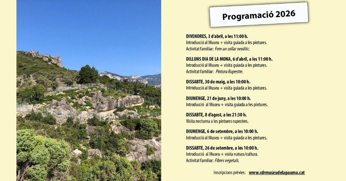 Visita guiada al cocó de la Gralla Visita guiada al cocó de la Gralla