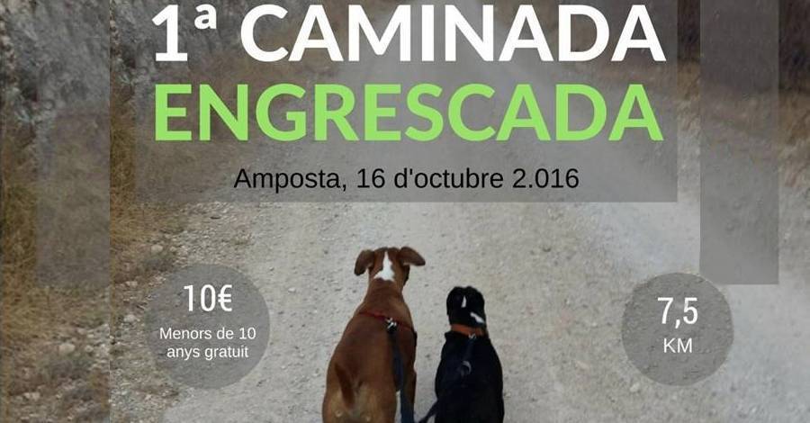 1a Caminada Engrescada