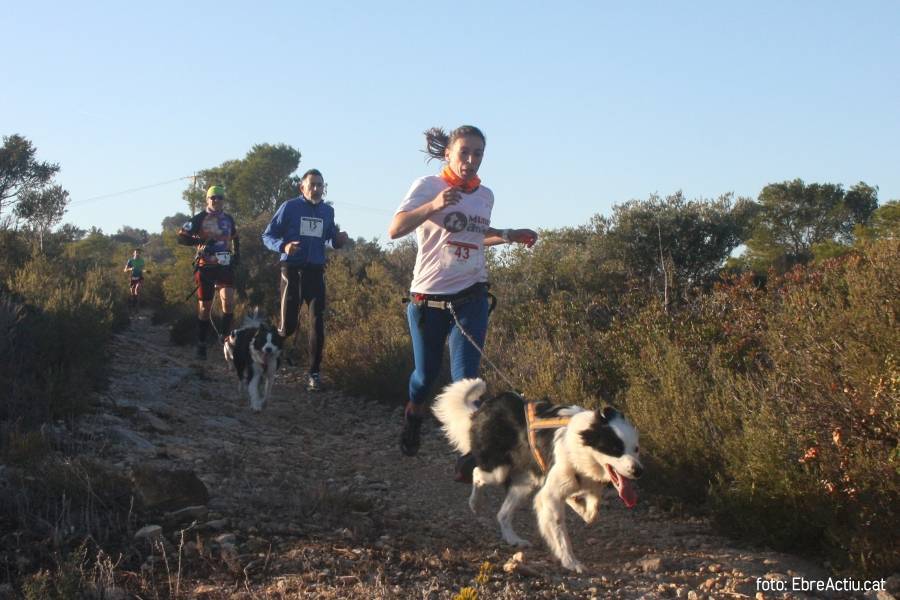 Disputat el primer canicrs de l’Aldea a la serra de les Veles | EbreActiu.cat, revista digital d’oci actiu | Terres de l’Ebre ...