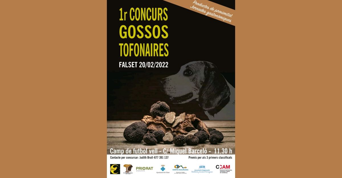 1r Concurs de gossos tofonires