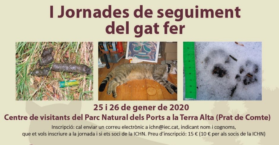 I Jornadas de seguimiento del gato monts