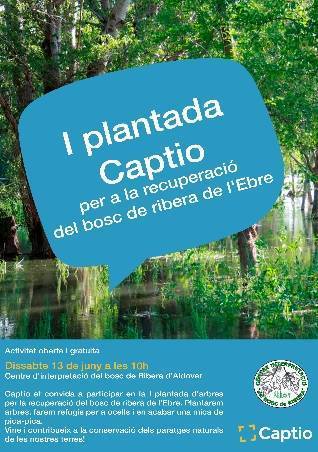 I Plantada Captio per a la recuperaci del bosc de ribera de l’Ebre