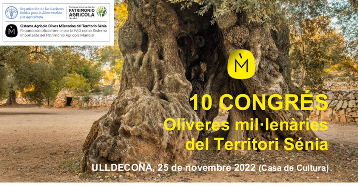 10 Congreso Olivos milenarios del Territoro Snia