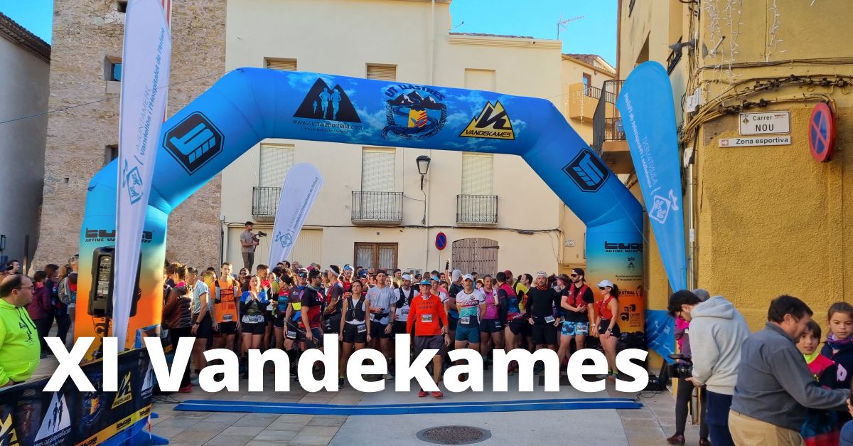 XI Vandekames