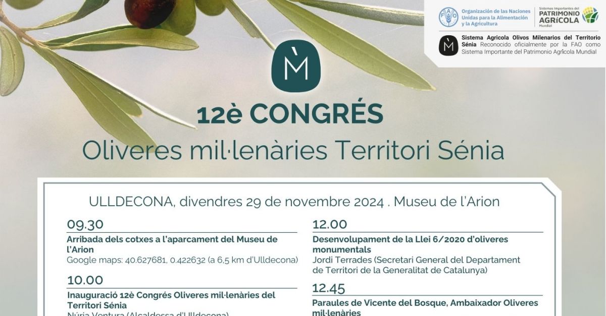 12 Congrs Oliveres Millenries Territori Snia