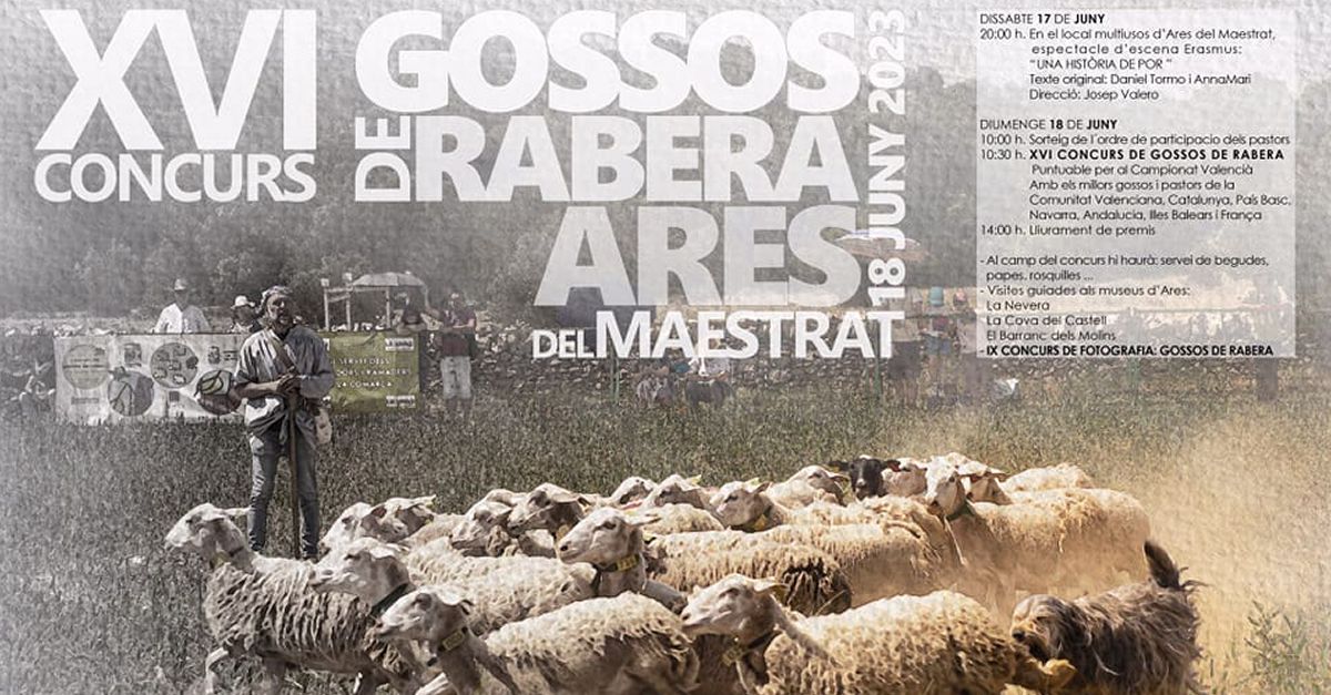 XVI Concurs de Gossos de Rabera