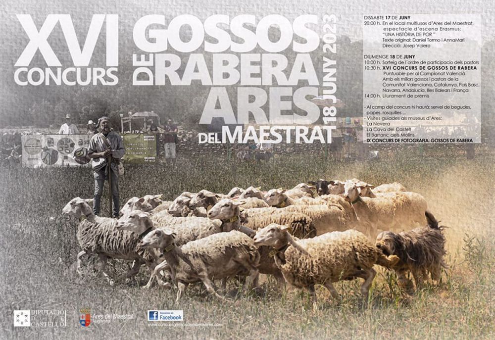 XVI Concurs de Gossos de Rabera