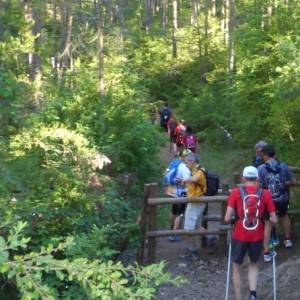 Prop de 1.000 participants a la 18a Travessia nocturna Fredes - Pals GR7