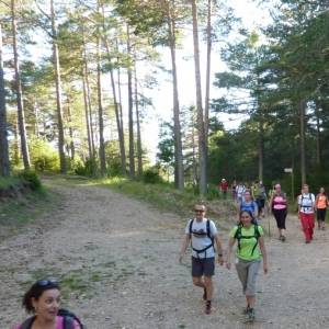 Prop de 1.000 participants a la 18a Travessia nocturna Fredes - Pals GR7