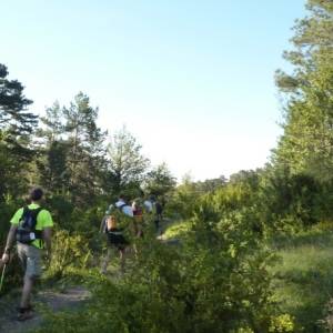 Prop de 1.000 participants a la 18a Travessia nocturna Fredes - Pals GR7