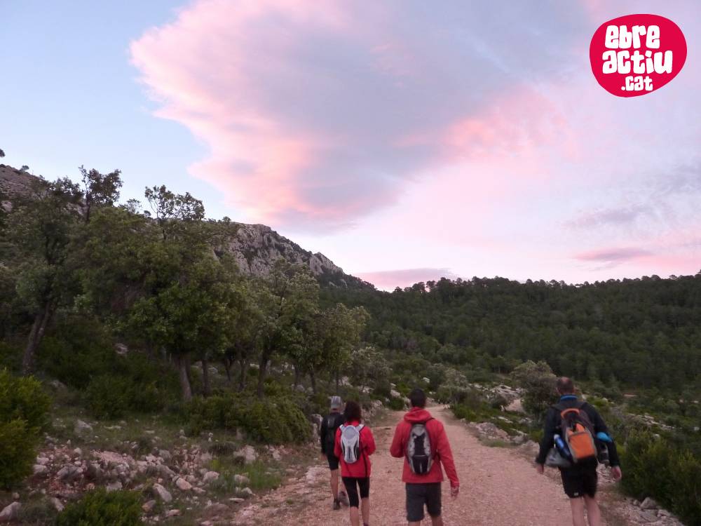 Tot a punt per a la Fredes-Pals 2015 | EbreActiu.cat, revista digital d’oci actiu | Terres de l’Ebre ...