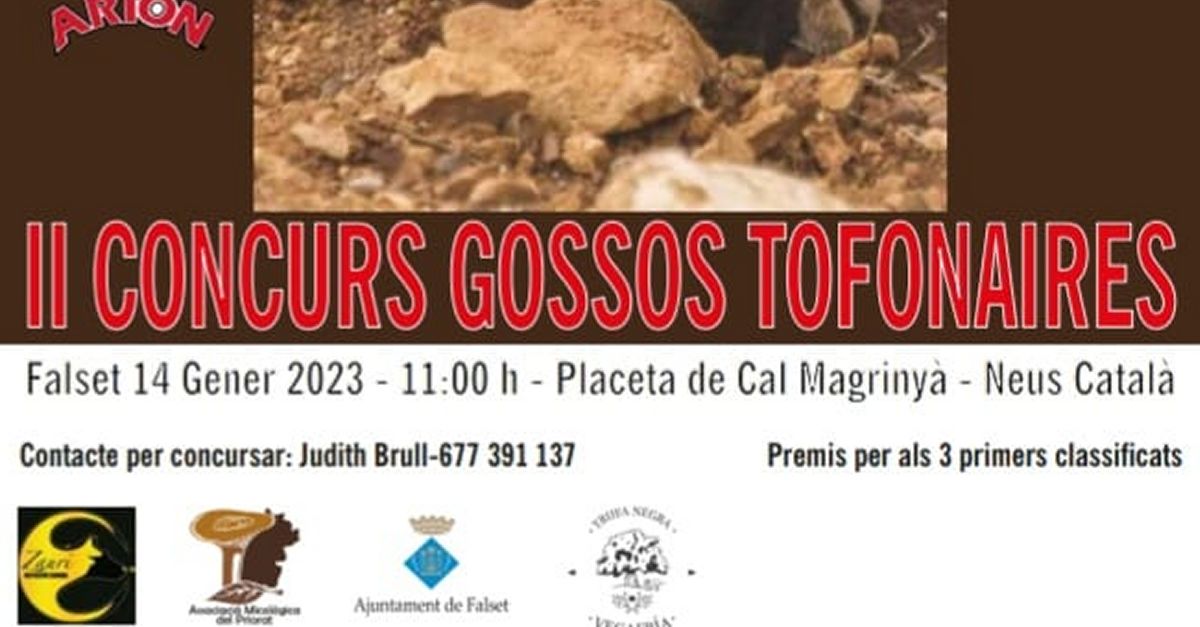 II Concurs de gossos tofonaires