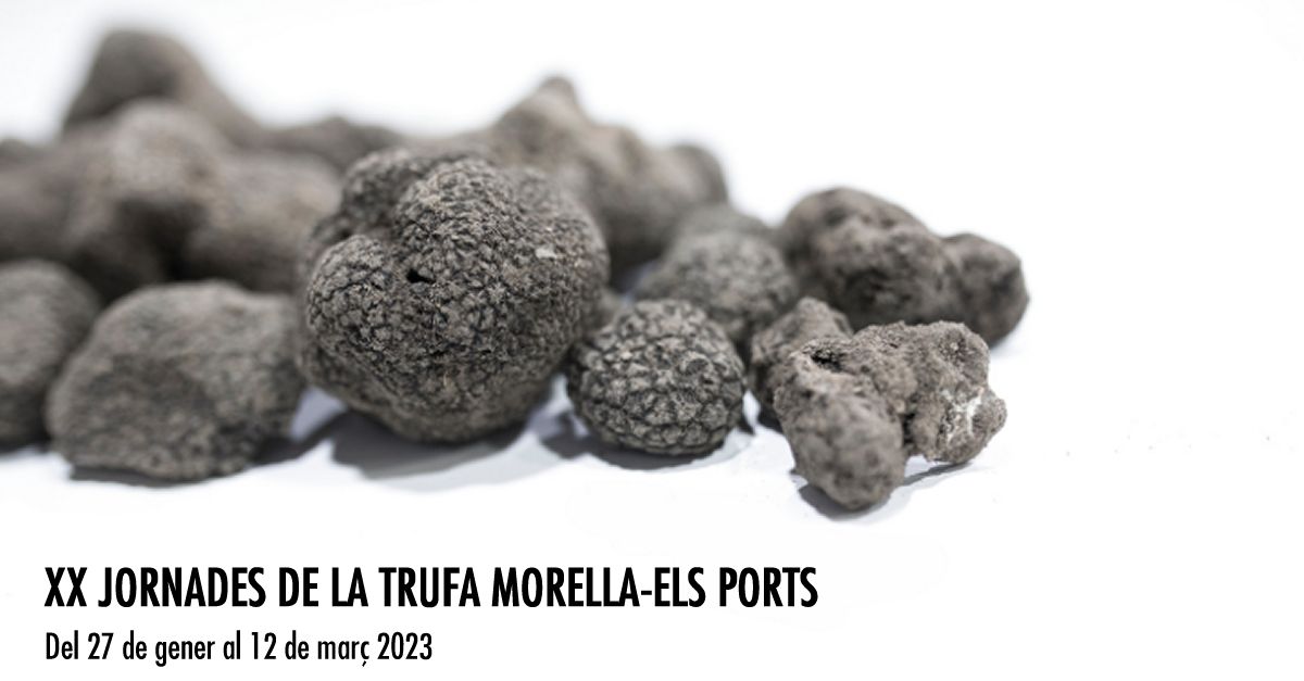 XX Jornades de la Trufa Morella-Els Ports