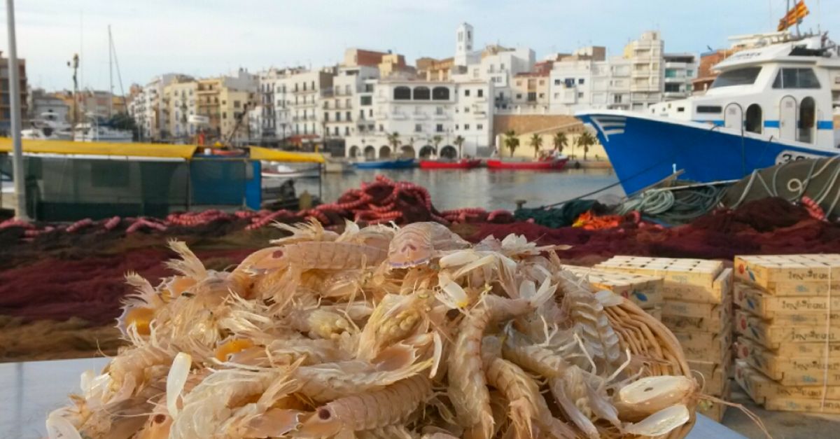 Les Jornades de la Galera finalitzen amb prop de dos mil mens servits a l’Ametlla de Mar | EbreActiu.cat, revista digital d’oci actiu | Terres de l’Ebre ...