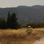 Extinguido el incendio de Tivenys, en la sierra de Card-Boix