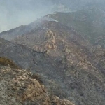 Extinguido el incendio de Tivenys, en la sierra de Card-Boix