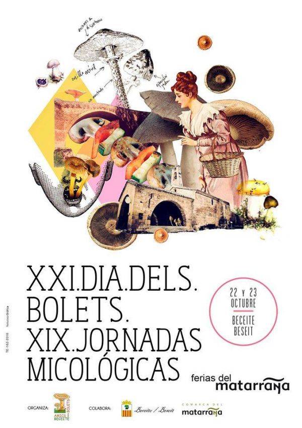 21 Dia dels bolets i 19es Jornades micolgiques