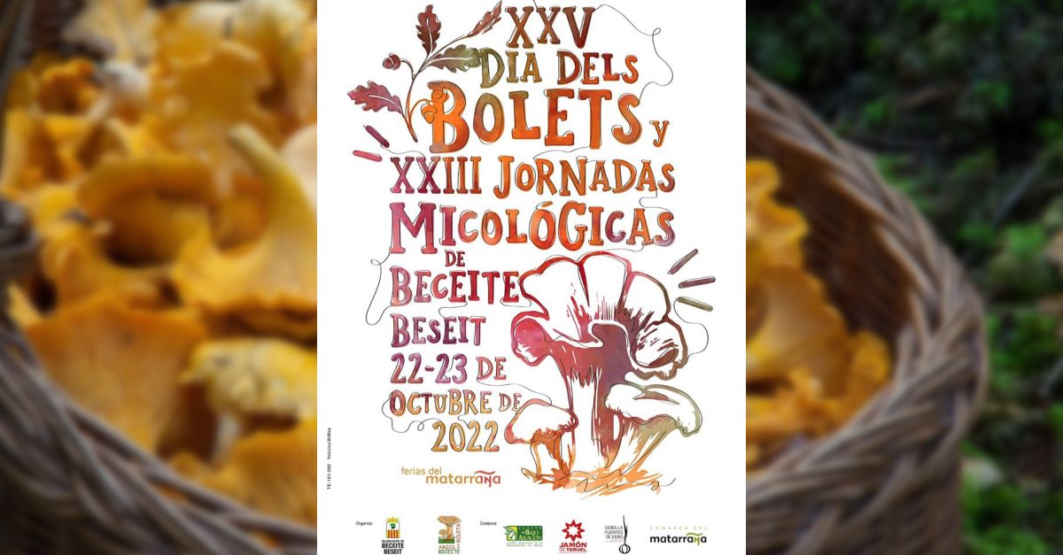 XXV Da de las Setas y XXIII Jornadas micolgicas