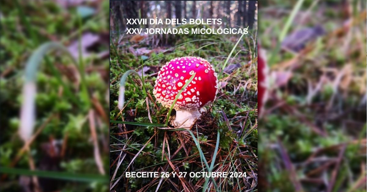 XXVII Dia dels Bolets i XXV Jornades Micolgiques de Beseit