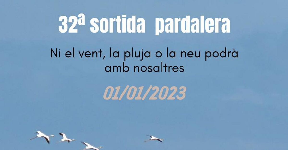 32a Sortida Pardalera