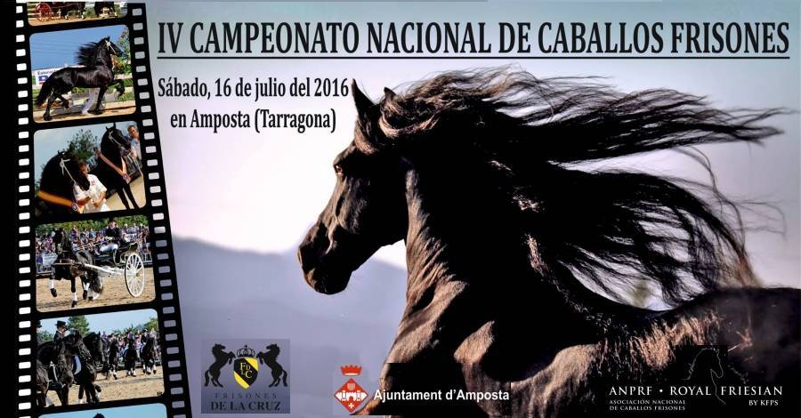 4t Campionat nacional de cavalls frisons