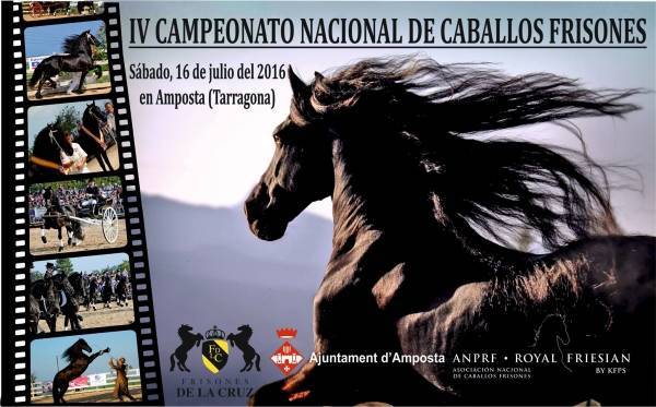 4t Campionat nacional de cavalls frisons