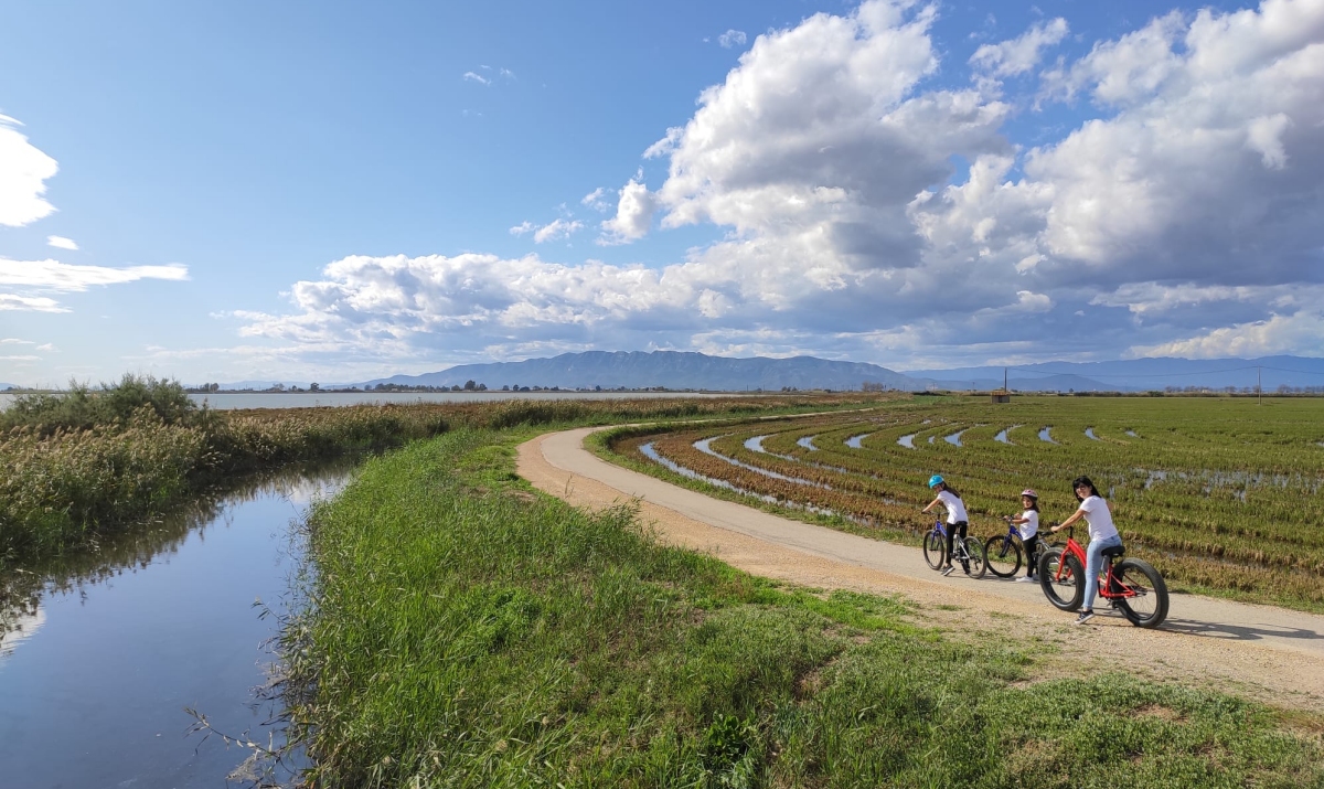 4 CAMINS. Lloguer de bicicletes i serveis turstics. Els Muntells | EbreActiu.cat, revista digital d’oci actiu | Terres de l’Ebre ...