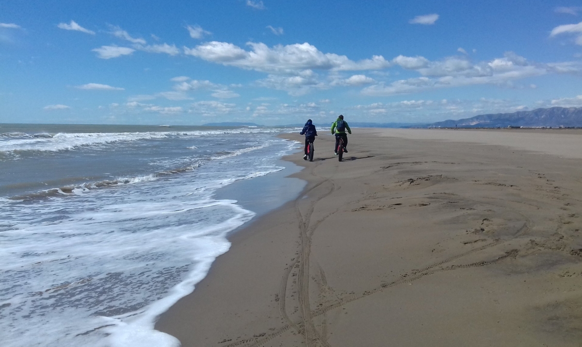 4 CAMINS. Lloguer de bicicletes i serveis turstics. Els Muntells | EbreActiu.cat, revista digital d’oci actiu | Terres de l’Ebre ...