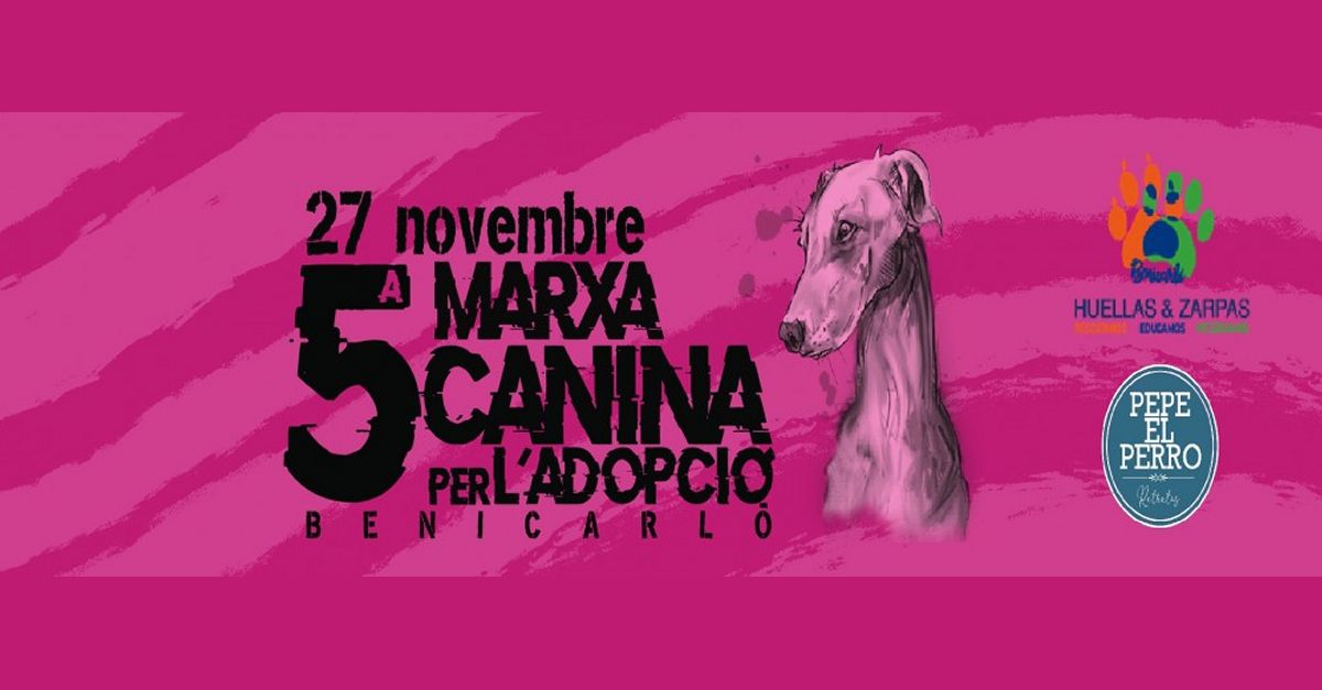 5a Marxa Canina de lAdopci