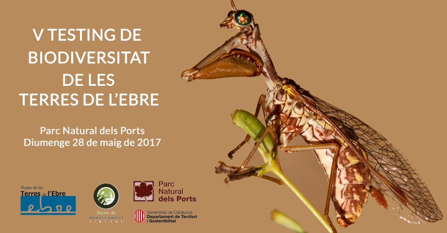 5 Testing de Biodiversitat de les Terres de lEbre