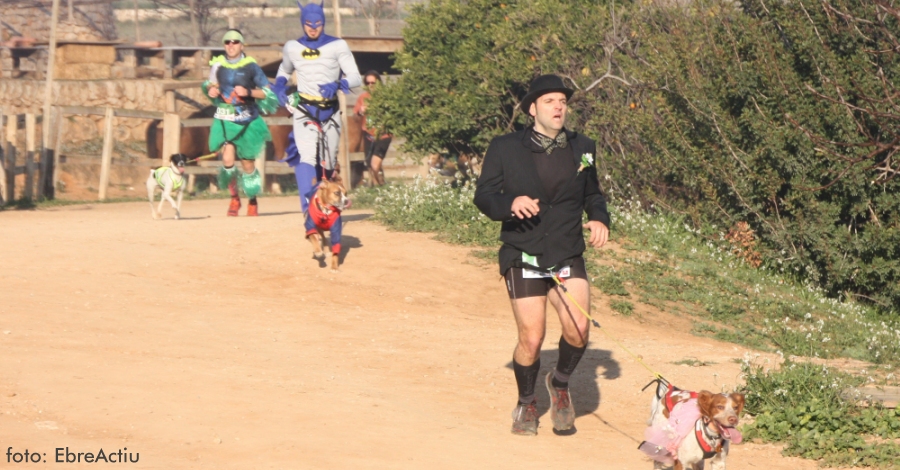 Norbert Llobera amb Max i Clara Bosch amb Pruna guanyen el 7 Canicrs d’Amposta | EbreActiu.cat, revista digital d’oci actiu | Terres de l’Ebre ...